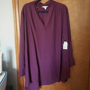 Terra & Sky 2X Long Sleeve Tunic Top